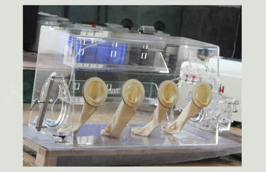 空気浄化に水をまかせます酸素なしで真空のグローブ ボックスに硬貨の細胞