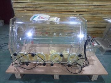 リチウム イオン電池の細胞の真空のための電池の実験室のグローブ ボックス-0.1MPAに